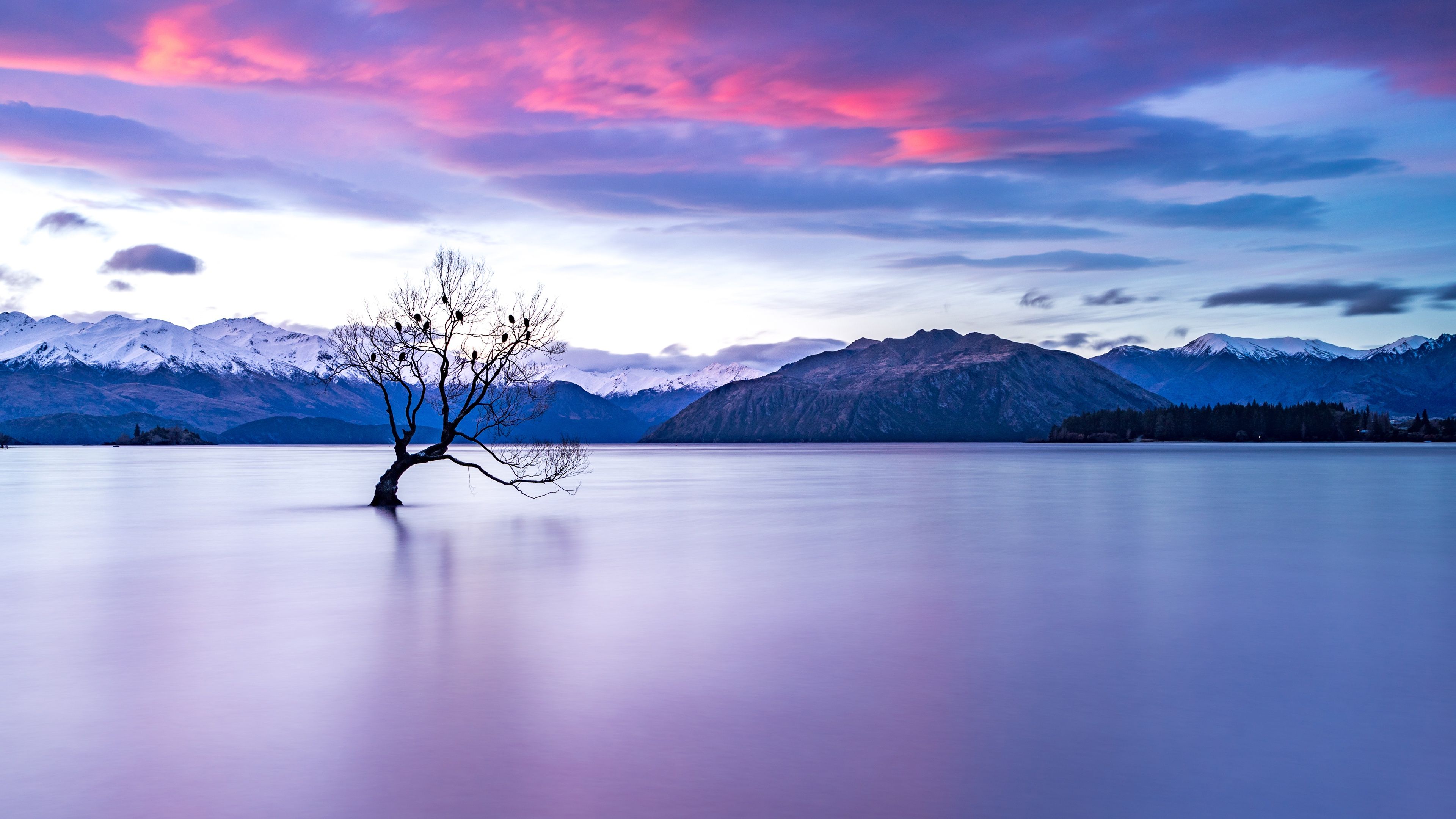 3840x2160 60+ 4K New Zealand Wallpapers | Background Images