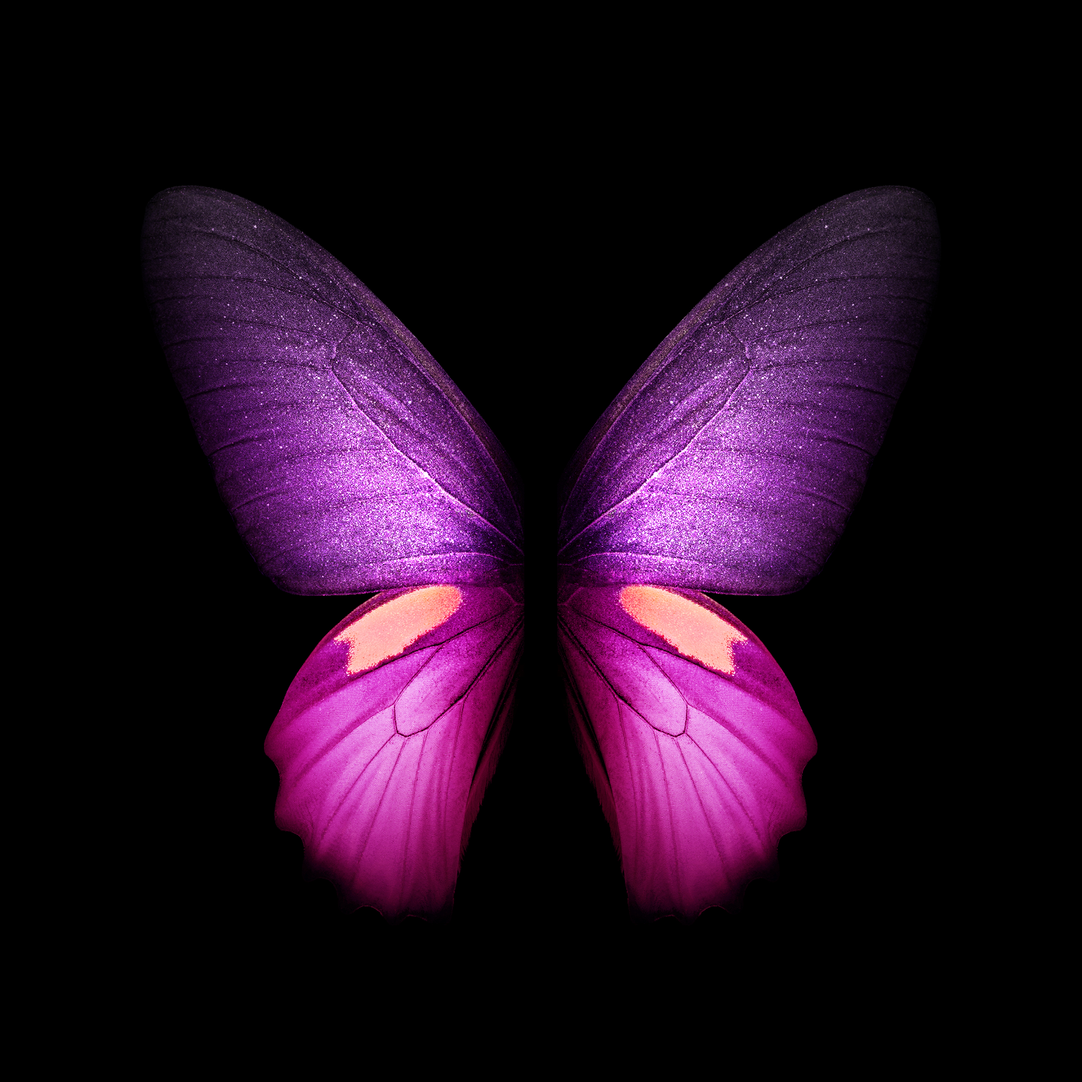 2152x2152 Galaxy Buterfly Wallpapers On | Purple butterfly wallpaper, Teal and black wallpaper, Butterfly inspirati