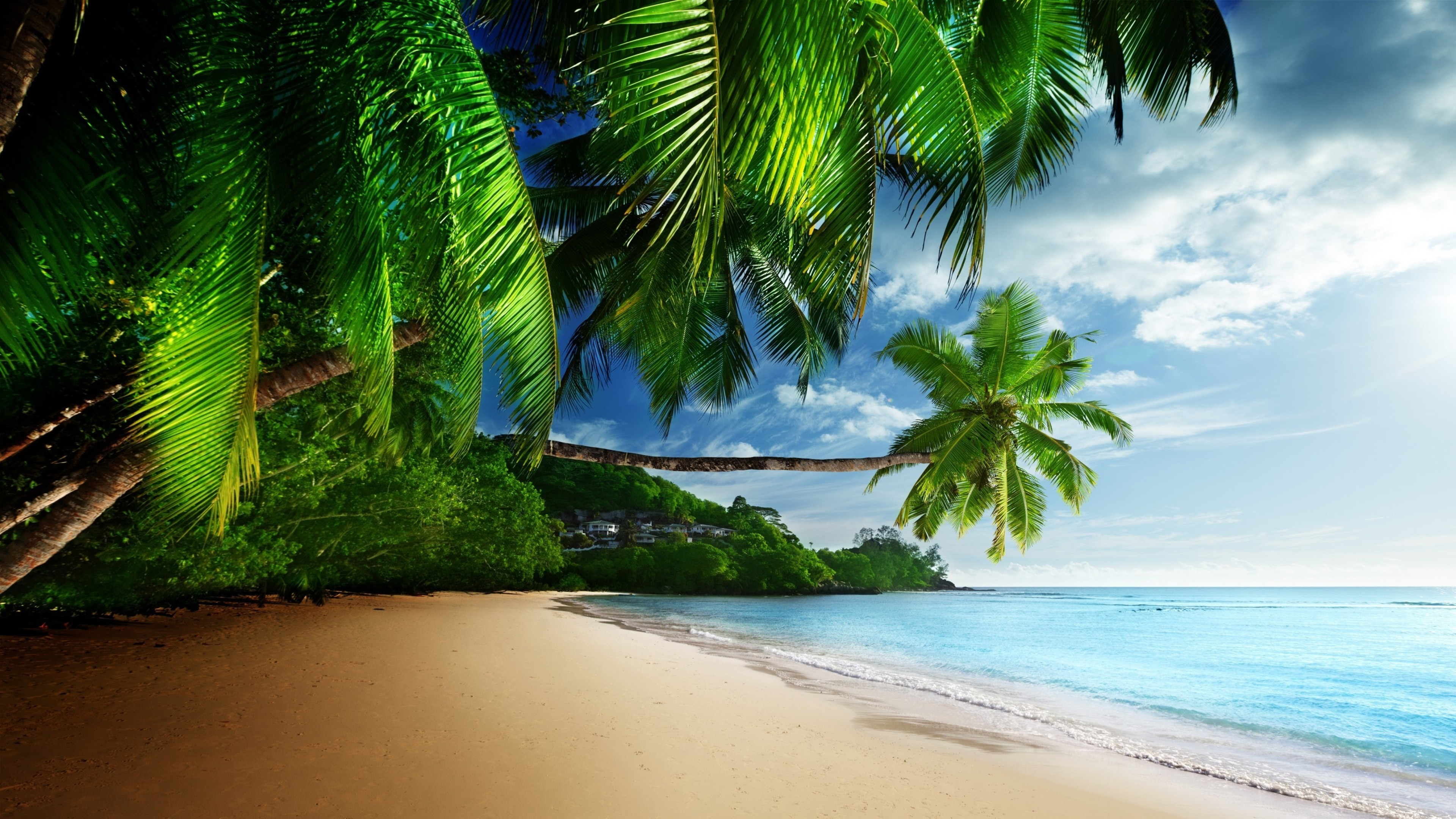 3840x2160 50+ Tropical HD Wallpapers and Backgrounds