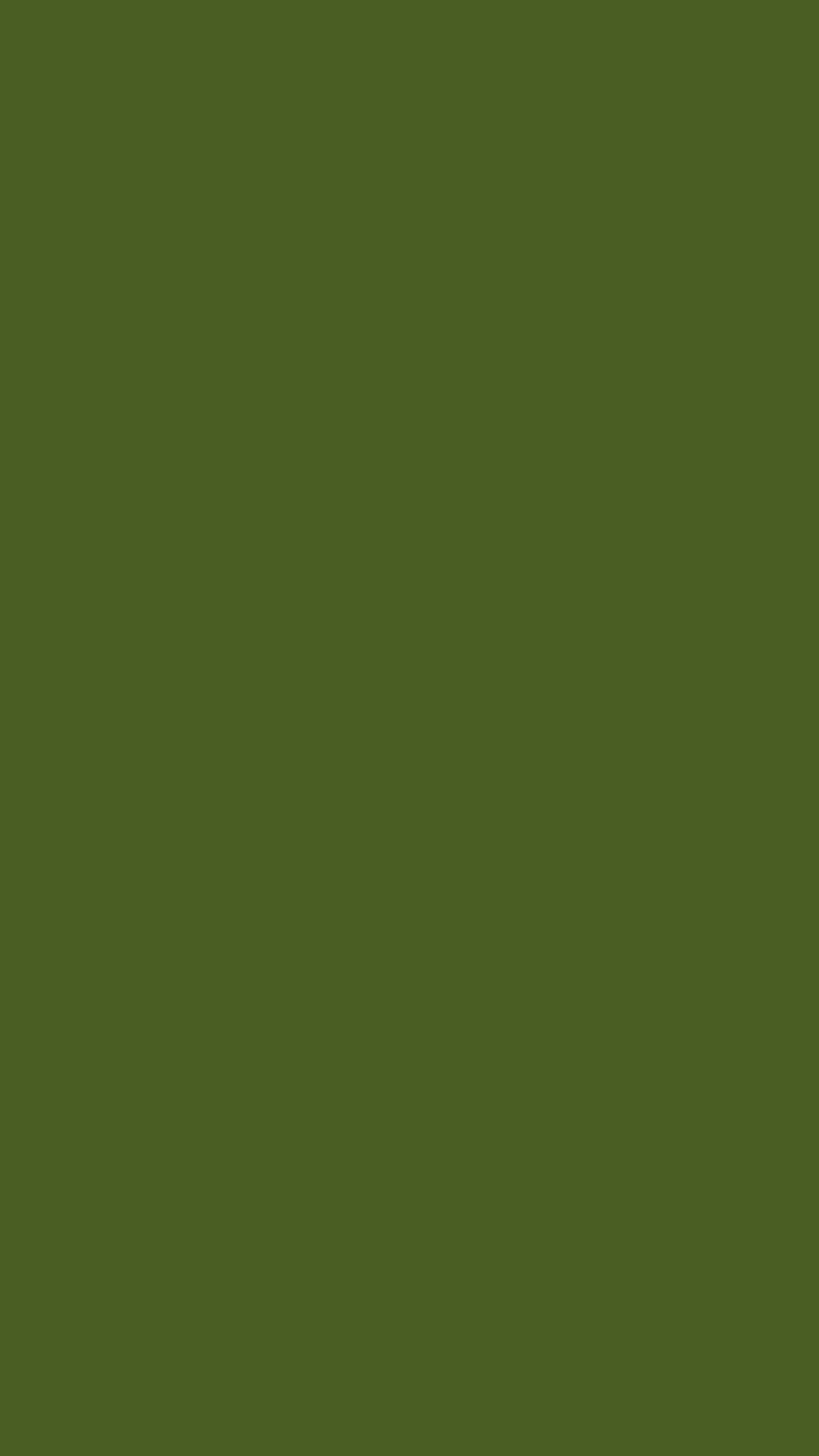 2160x3840 Dark Moss Green Solid Color Background Wallpaper for Mobile Phone