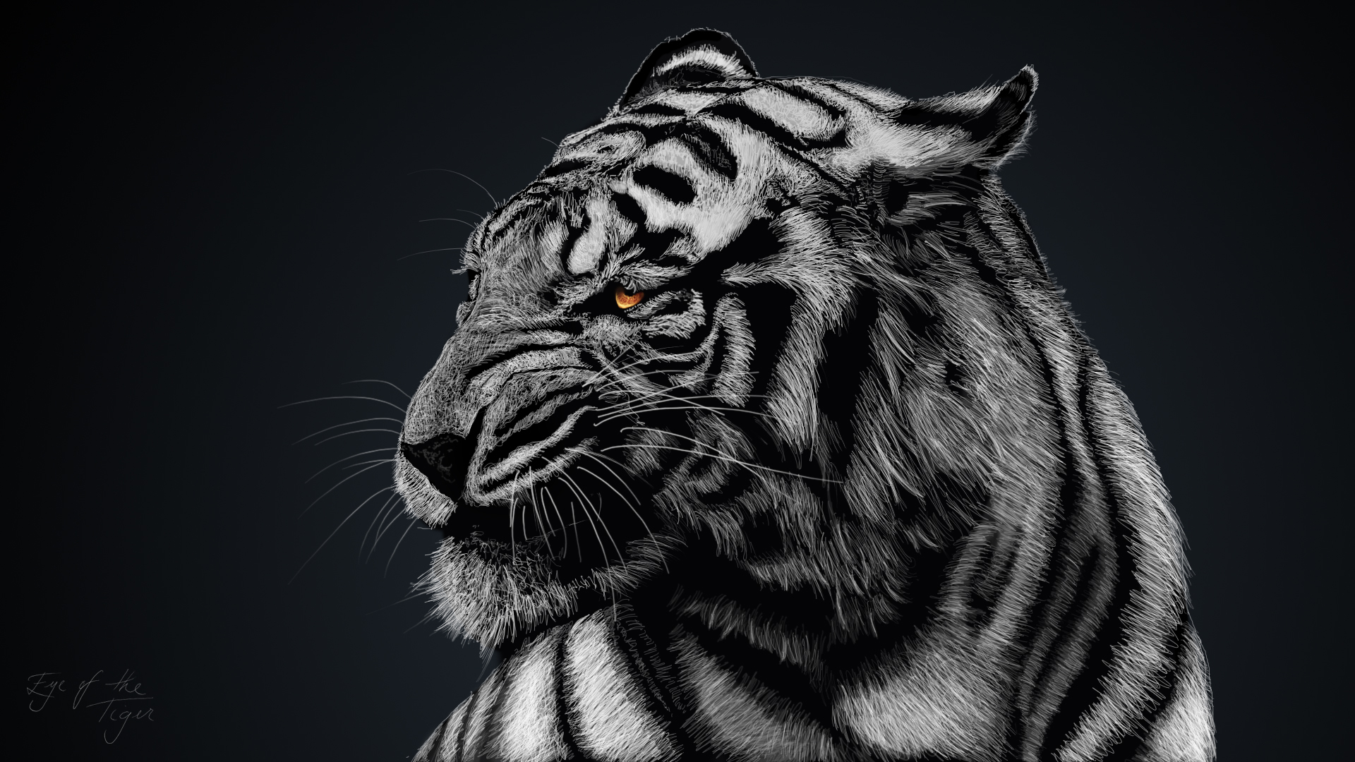 1920x1080 290+ White Tiger HD Wallpapers and Backgrounds