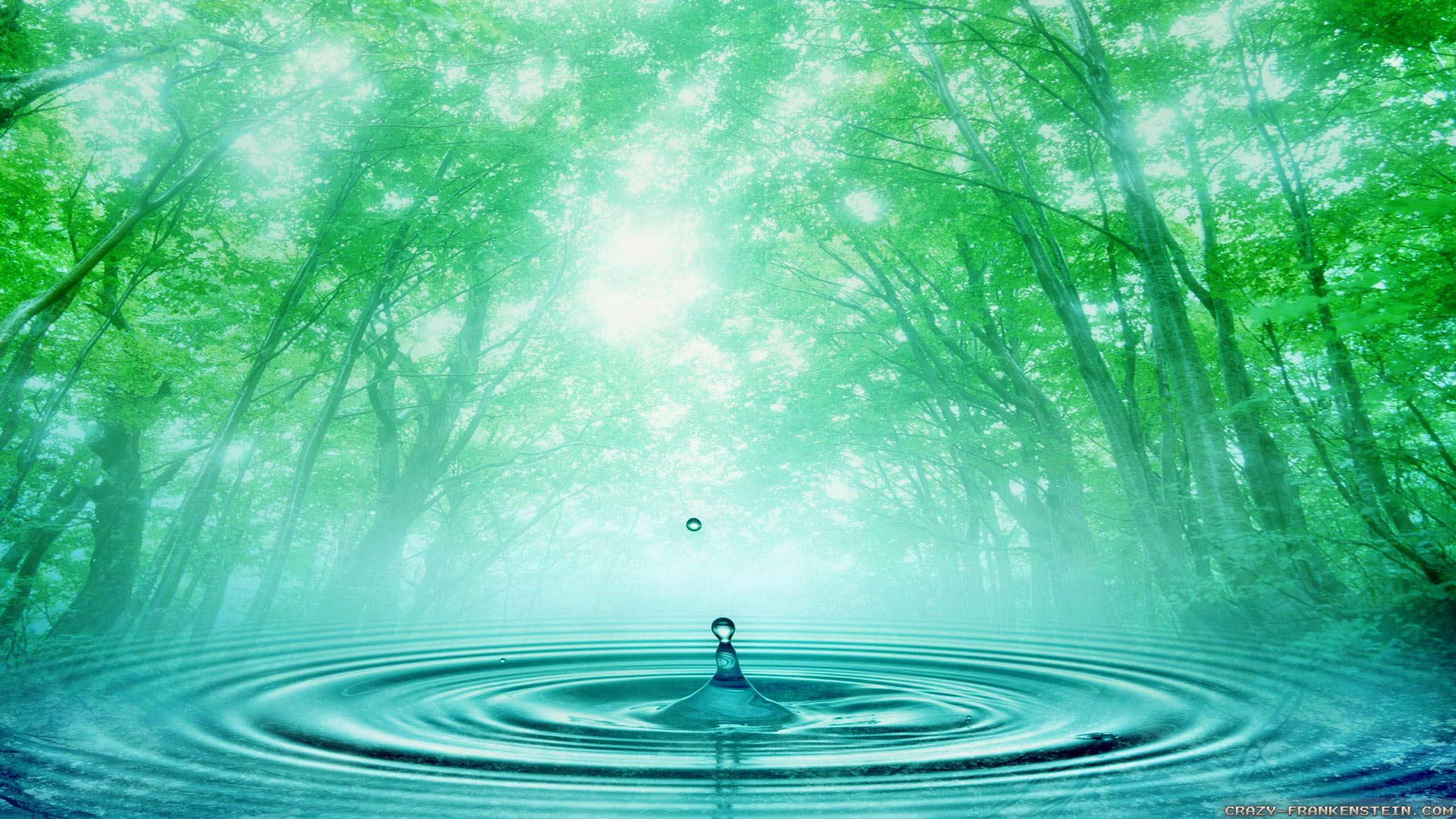 2560x1440 Spring Water Wallpapers Top Free Spring Water Backgrounds
