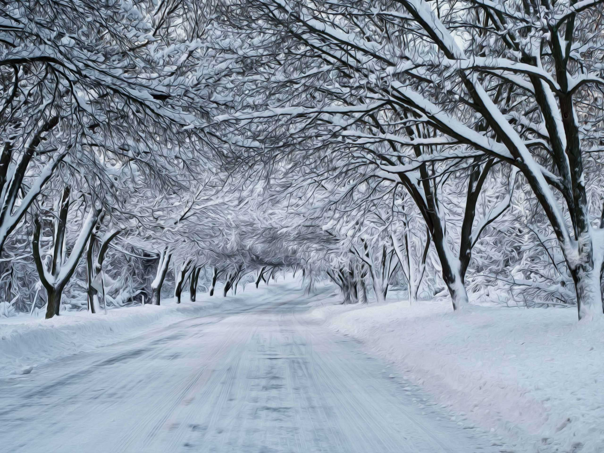 2560x1920 Winter Wallpapers | Snow scenes, Scene wallpaper, Snow