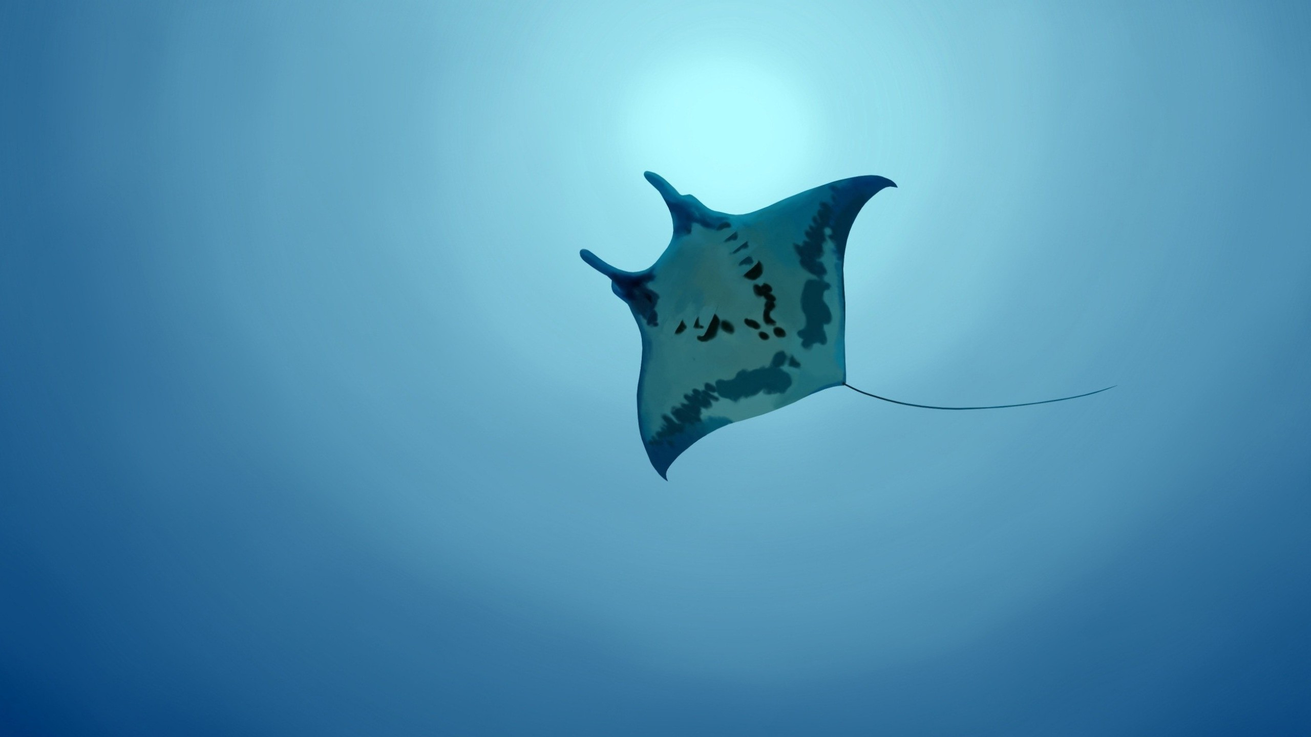 2560x1440 Stingray HD Wallpapers and Backgrounds