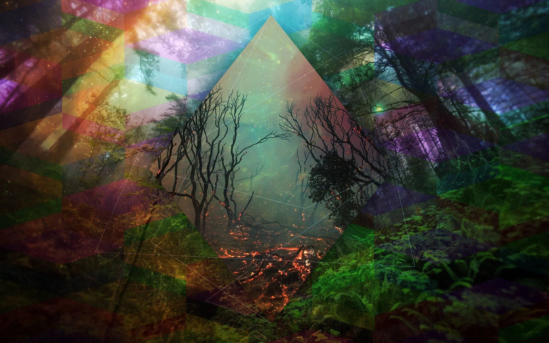 2333x1458 Psychedelic Forest Wallpapers Top Free Psychedelic Forest Backgrounds