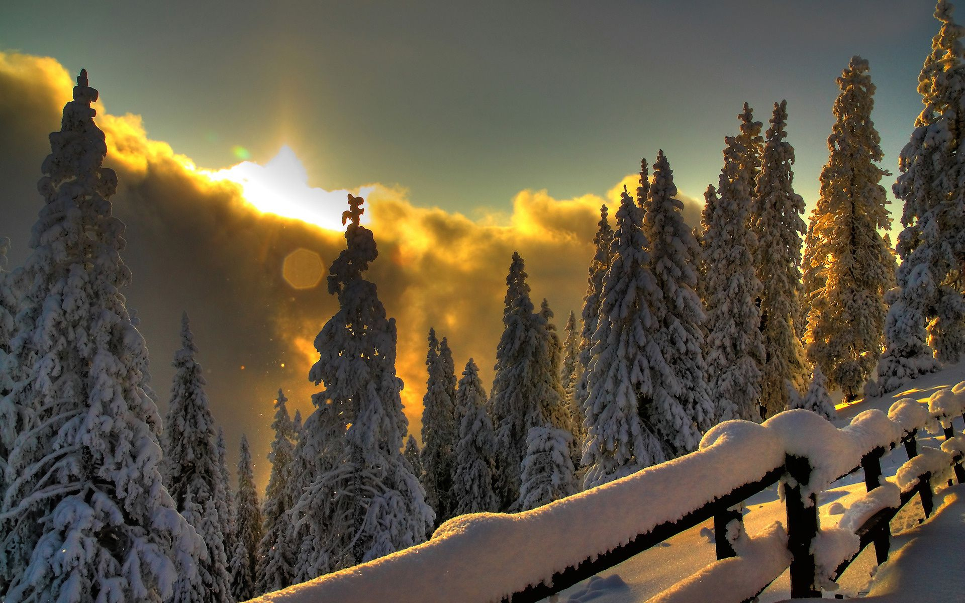 1920x1200 entre las alturas y las | Winter sunset, Winter nature, Winter wallpaper
