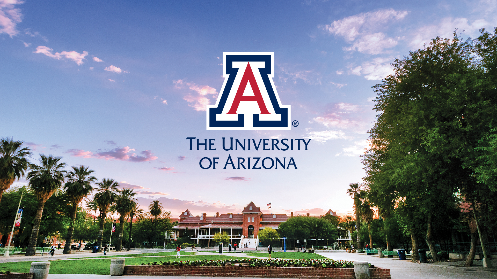 1920x1080 University of Arizona Logo Wallpapers Top Free University of Arizona Logo Backgrounds