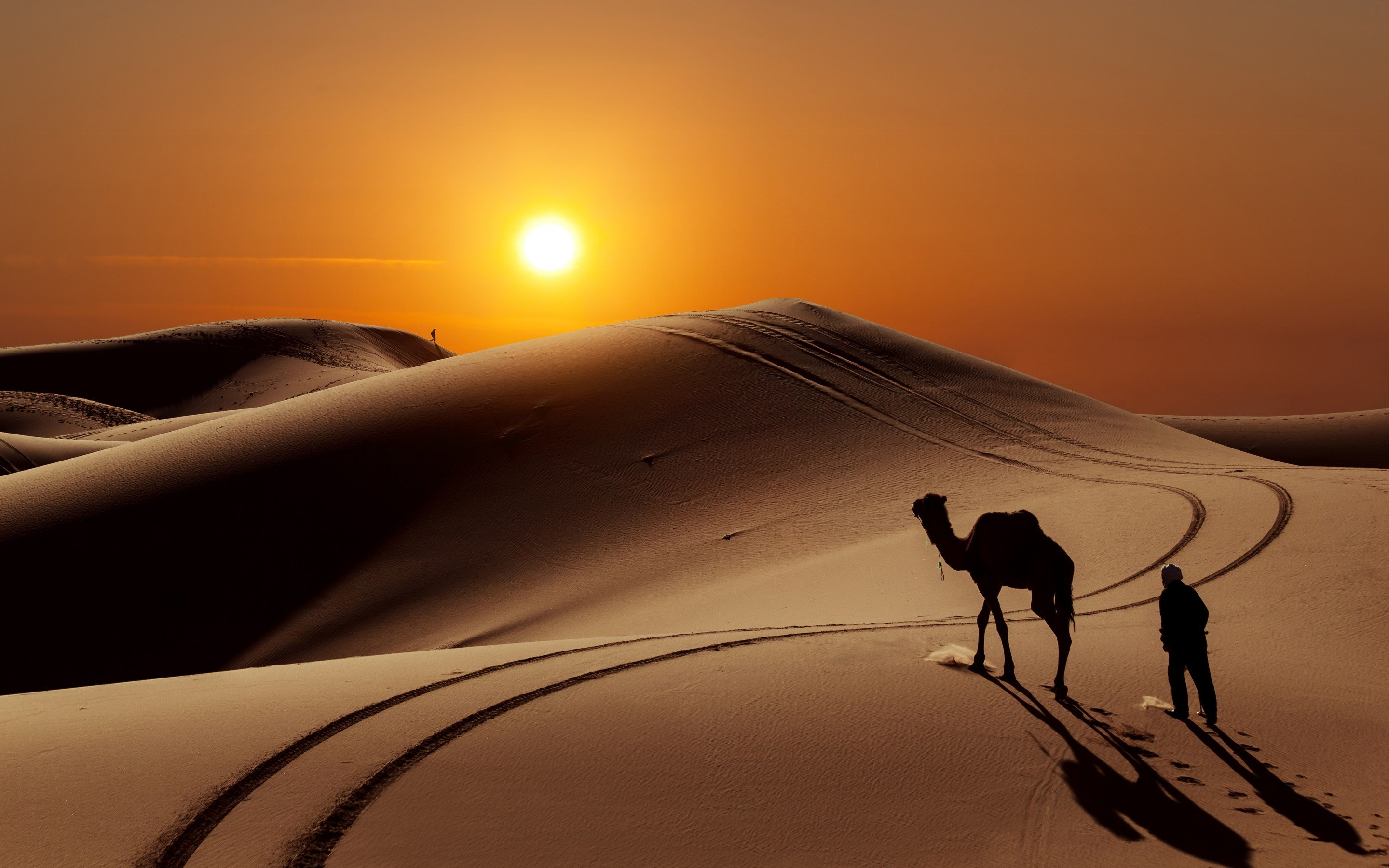 2880x1800 Desert sand dunes camels people sun wallpaper | | 424275 |