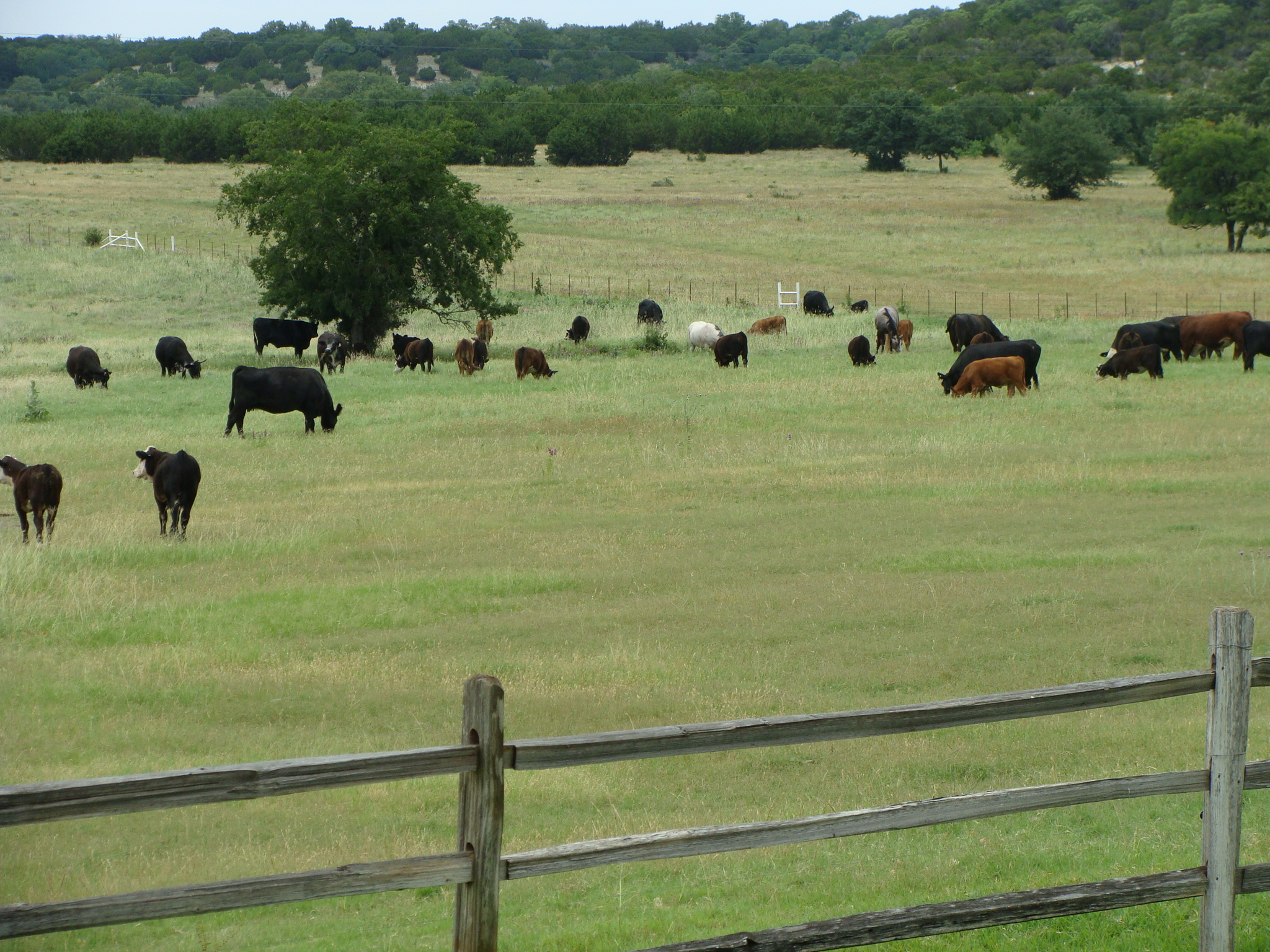 2048x1536 Premier Bosque County Texas Ranch Selling at Multi-Parcel Auction June 24