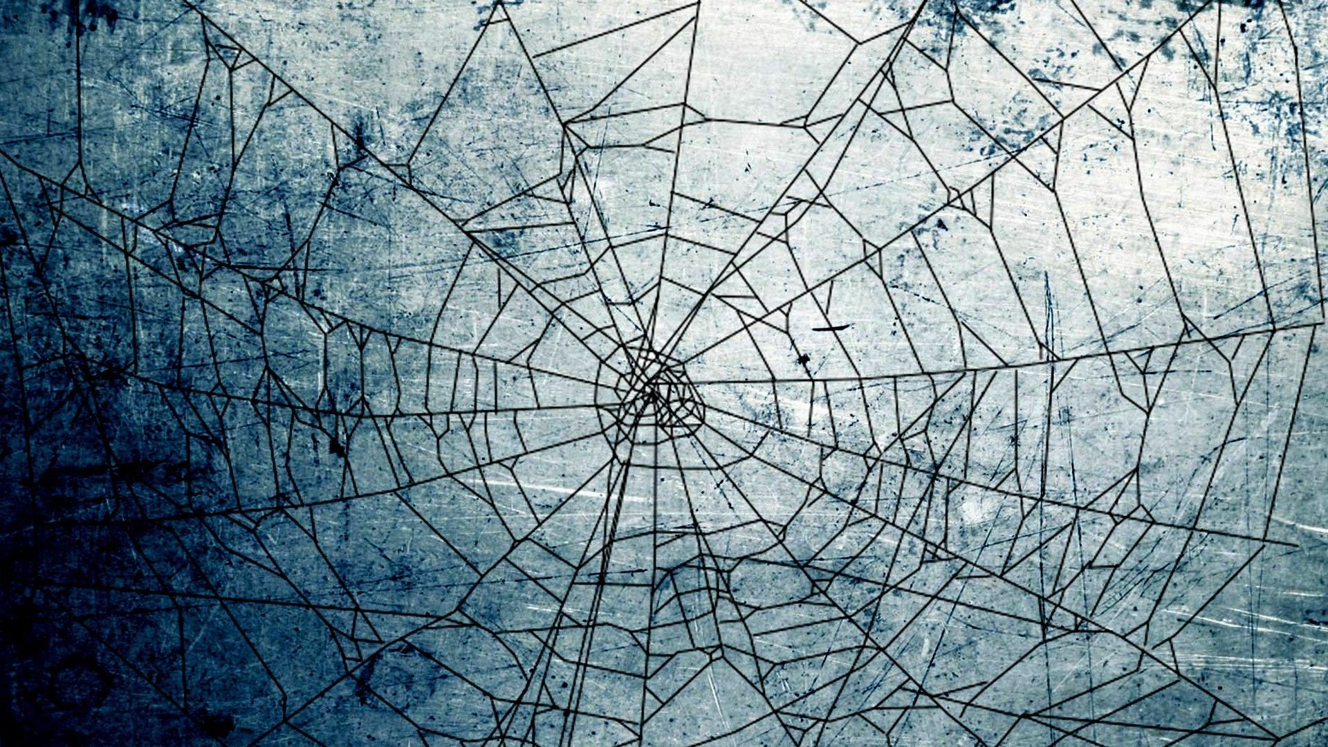 1920x1080 Spider Web Wallpapers 16 Best Free Spider Web Hd Wallpaper For Iphone | Hd wallpaper iphone, Hd wallpaper, Amazing hd wallpapers