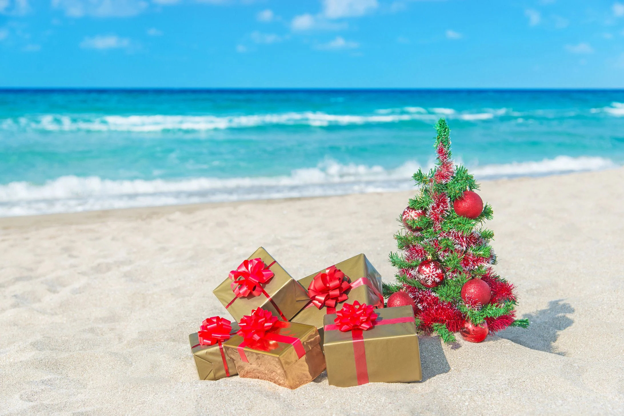 2184x1458 Tropical Christmas Wallpapers Top Free Tropical Christmas Backgrounds