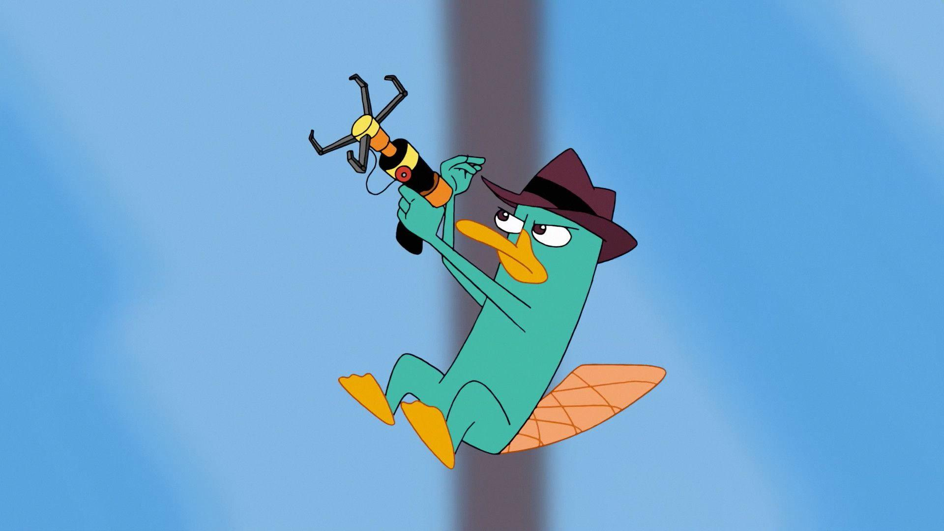 1920x1080 Perry The Platypus Wallpapers