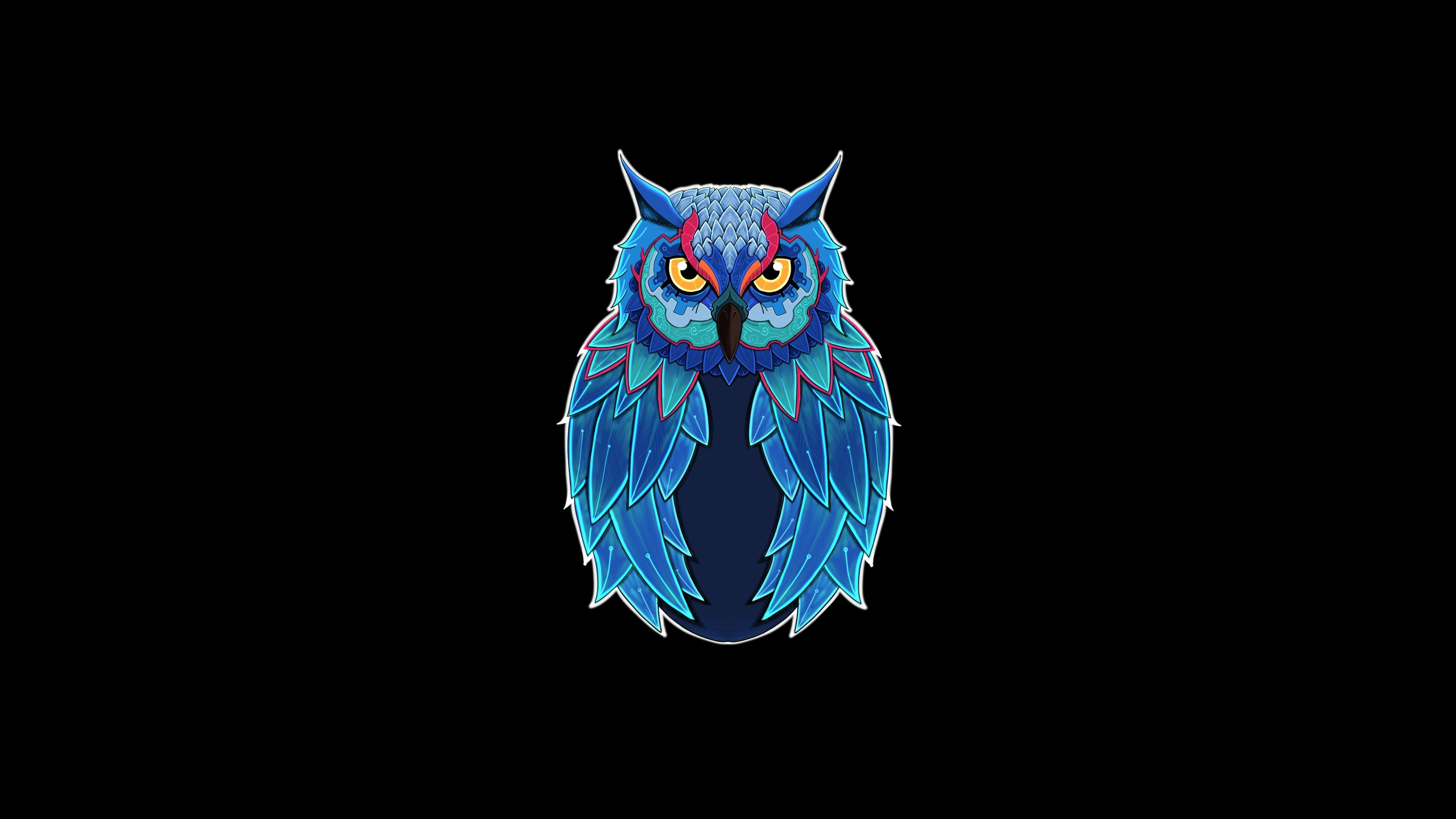 2560x1440 Owl Dark 5k 1440P Resolution HD 4k Wallpapers, Images, Backgrounds, Photos and Pictures