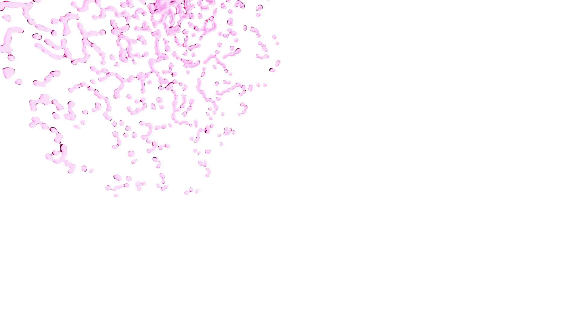 1920x1080 Pink and White Backgrounds (34+ pictures