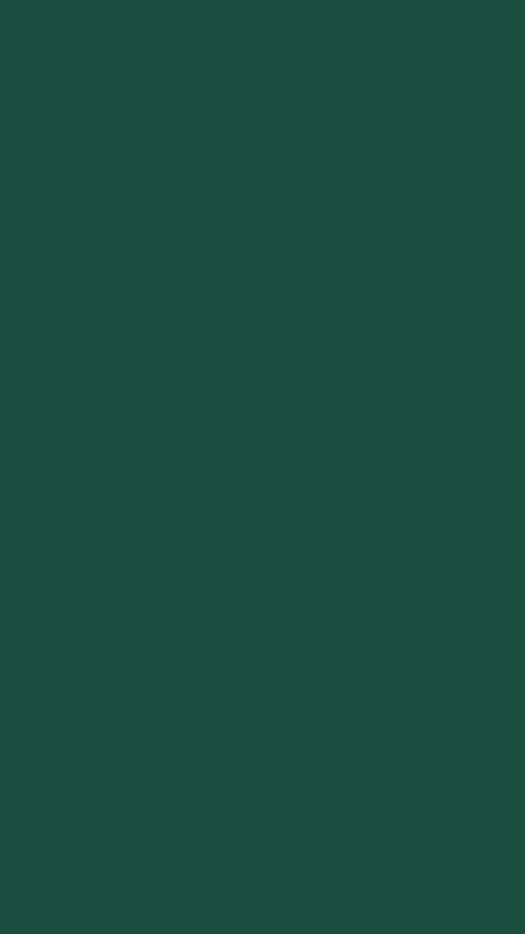 2160x3840 English Green Solid Color Background Wallpaper for Mobile Phone
