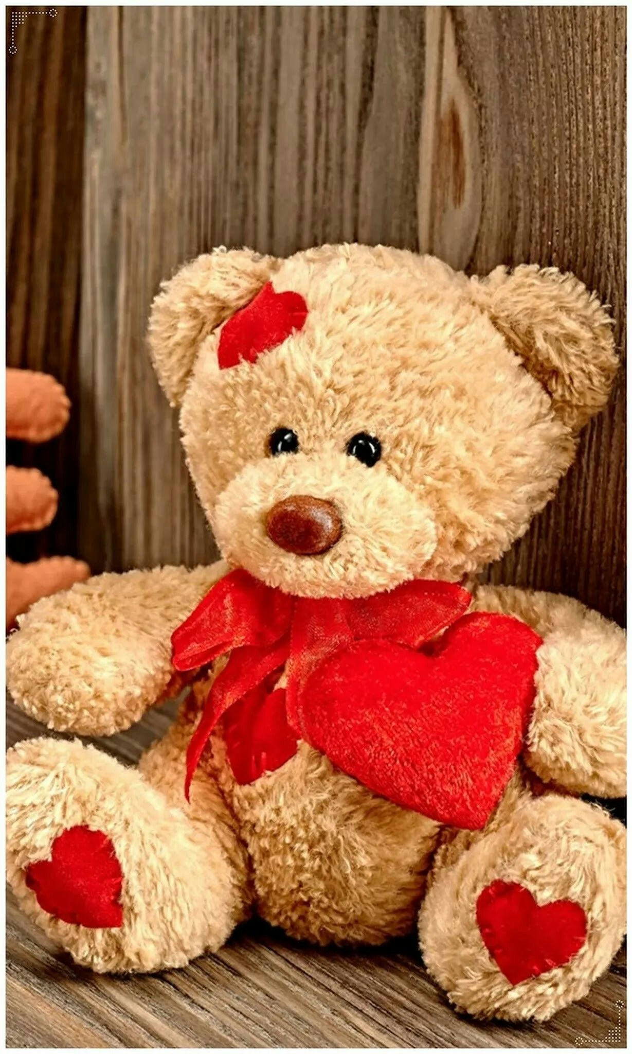 1229x2048 Pin by Marit Jamissen on TEDDY BEARS | Teddy bear wallpaper, Teddy bears valentines, Teddy day wallpapers