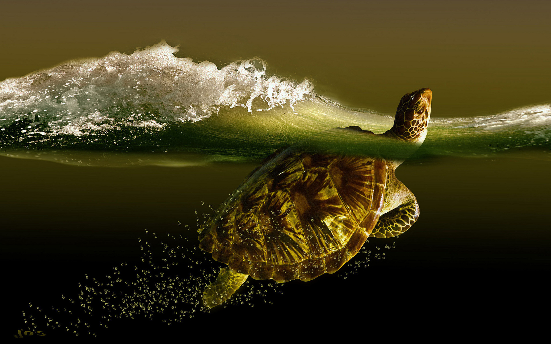 1920x1200 Free download Turtle sea wave turtles ocean waves bubbles underwater wallpaper [] for your Desktop, Mobile \u0026 Tablet | Explore 44+ Sea Turtle Background Wallpaper | Sea Turtle iPhone Wallpaper, Baby Sea