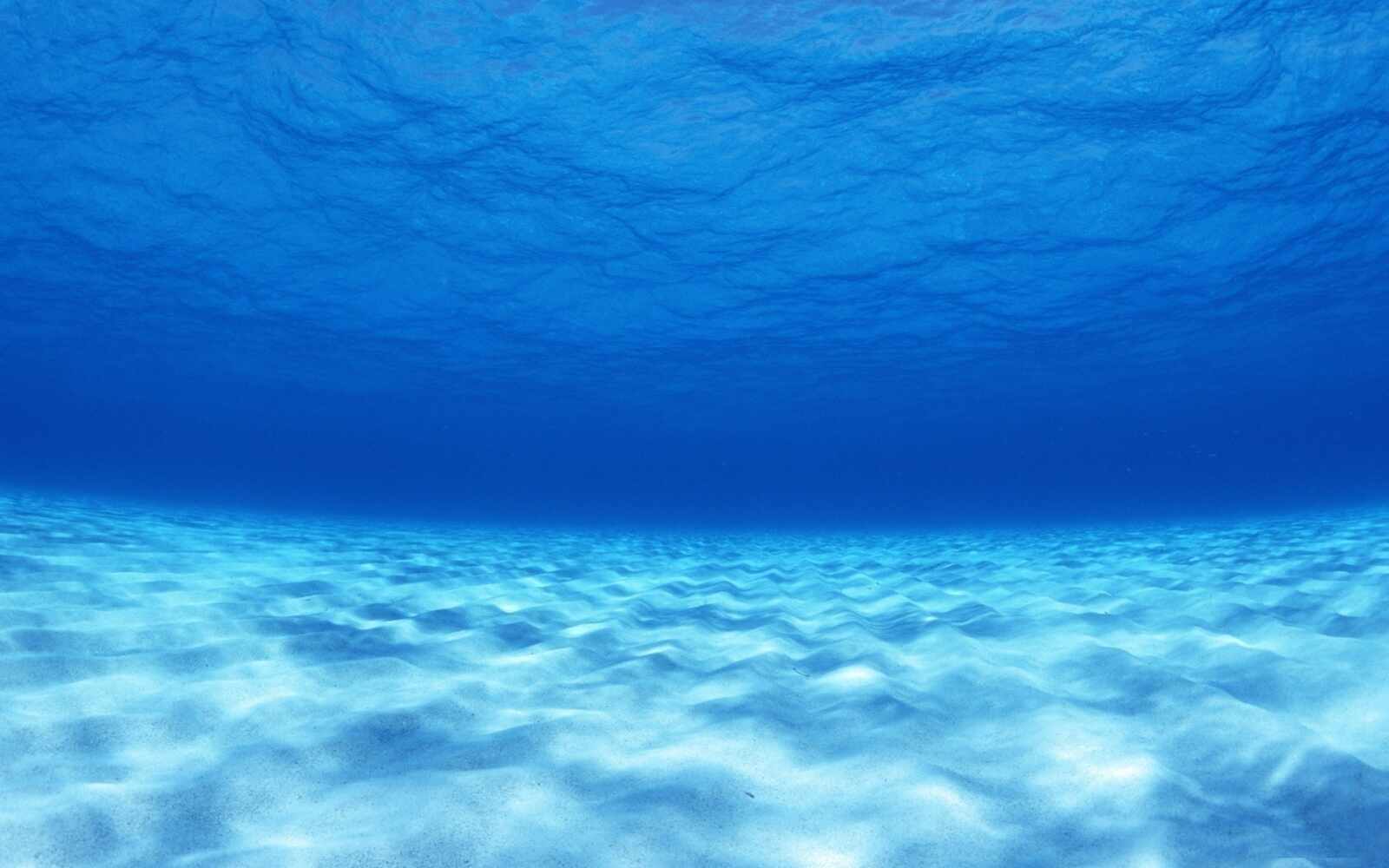 Ocean Floor Wallpapers and Backgrounds 4K, HD, Dual Screen