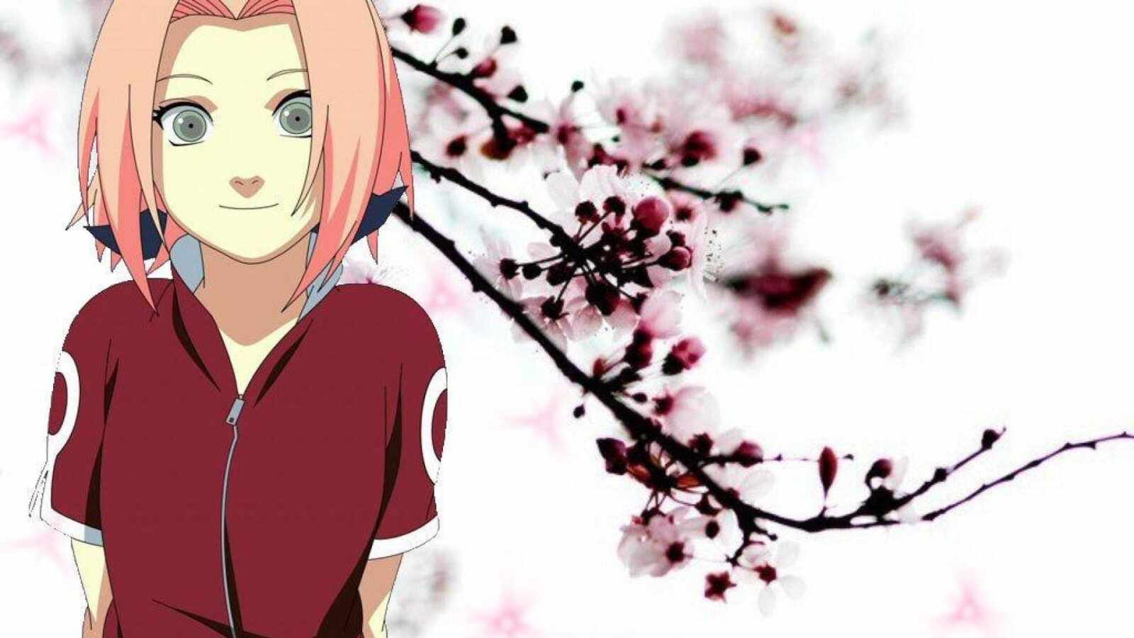 <b>Sakura</b> Haruno Shippuden Wallpapers.